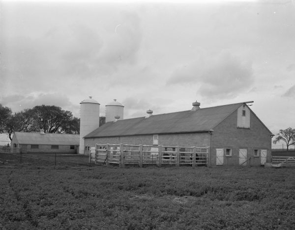 Governor Oscar Rennebohm farm, on U.S. Highway 151, five miles east of the Wisconsin State Capitol between Madison and Sun Prairie. Shows the barn for young stock and two silos.