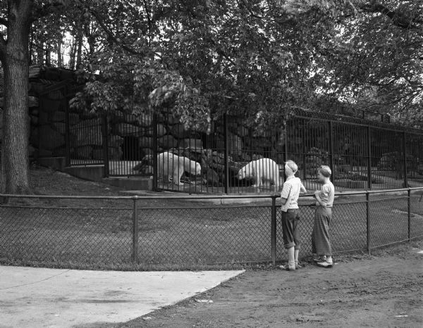 Jane and Jone Johnson, daughters of Mr. and Mrs. Lester Johnson of Black River Falls, in front of the Polar Bear cage at Henry Vilas Zoo (Vilas Park Zoo).