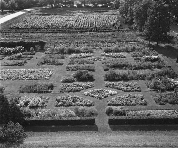Elevated view of flower display garden with hundreds of varieties of flowers beside the University of Wisconsin-Madison horticulture building.