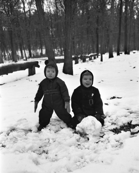 Winter scene with Steven (left) and David Hanson playing in the snow near their house at 1217 Vilas Avenue, Madison, Wisconsin, after a recent snowfall.