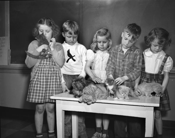 First graders at Madison's Washington School used special activities to help build their vocabularies. In this photograph five students admire kittens and their mother cat. The students in Edna Campbell's class are, left to right: Marilyn Murphy, Billy Ferguson, Marcella Erlandson, Robert Whipple, and Sonia Gunderson.