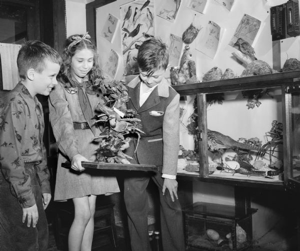 Fourth grade students at Emerson Elementary School, 2421 East Johnson Street, shown examining stuffed birds in the school's science room. Left to right: Dale Klinker, Suzanne Dean, and Terry Austin. Other taxidermy specimens are behind them.