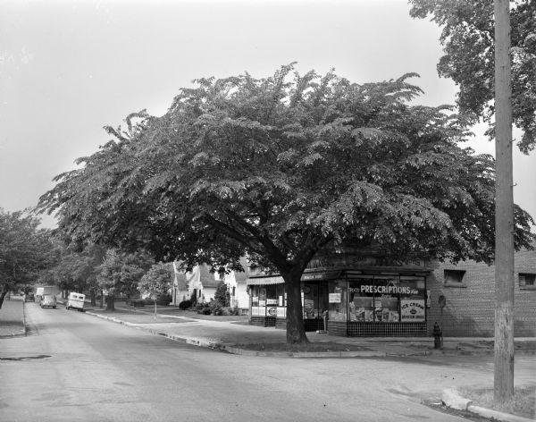 View from road of Branton Pharmacy at 2042 East Washington Avenue. A large tree is at the corner of North 3rd Street. East side residents protested the proposed removal of trees along East Washington Avenue between First and Seventh Streets. Plans for widening and repaving East Washington Avenue would doom 100 trees along the street.