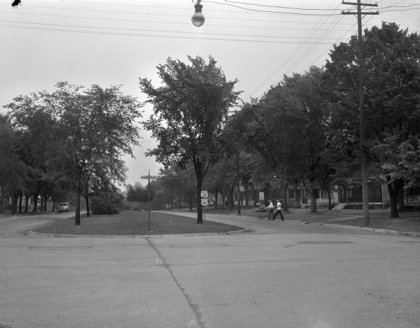 East Washington Avenue at First Street showing the trees lining the boulevard and the sides of the street. Residents are protesting the proposed removal of some 100 of the trees in plans for widening and repavement of East Washington Avenue.