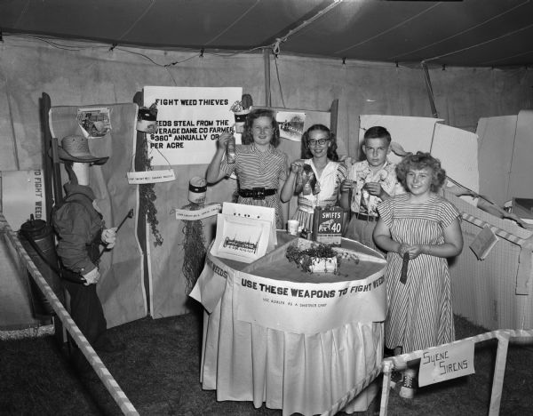 Blaney Farms 4-H booth with display: "Fight Weed Thieves." Three young women and one young man are shown with a display of farm products. They are all holding ribbons that say, in part: "Dane County Junior Fair."