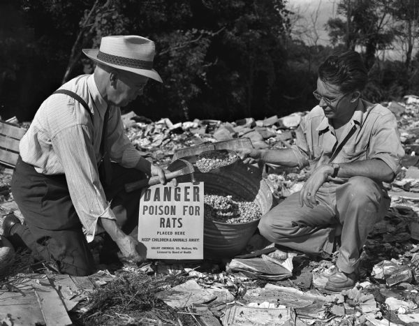James L. Clarke (left) city health inspector, and Lewis B. Kelly (right) president of the Solvit Chemical Corp., are shown as they prepare to scatter the barium carbonate rat poison in the large tub over a dump located at the end of Fern Drive off Highbury Road near University Avenue. The land was owned by Dudley Davis.