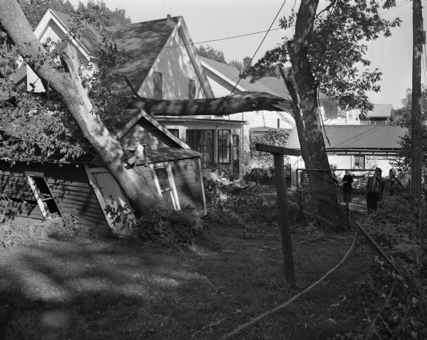 A garage and house at 537 S. Randall Avenue after a gust of wind blew two box elder trees into them. The trees were at the rear of the Owen F. Glissendorf's property at 533. S. Randall Avenue. Ritchie D. Lewis, who lived at 541 S. Randall Avenue, was pinned against the wall of the house but was uninjured.