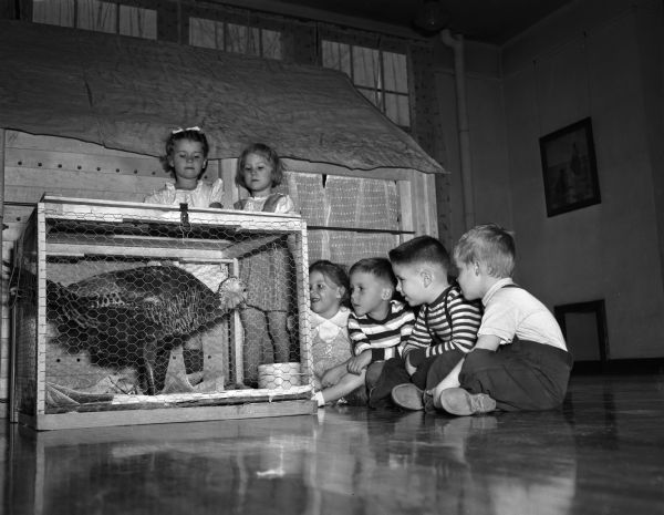 Six Longfellow School kindergarten students admiring a turkey in a cage. They named the turkey "Cindy" as they learned about turkeys as part of their school work. The turkey came from the Harold Bond farm in Mazomanie. The students are, left to right: Alice Holstein, Rose Ann Dottl, Patricia Genge, Denis White, Richard Gorman, and Peter Weinkoetz. Their teacher is Mrs. Josephine King.
