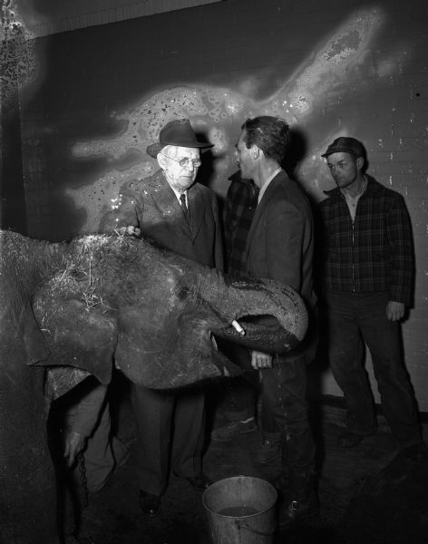 New Annie the elephant drinks water using her trunk in front of Fred Winklemann, left, retired zoo director, and Harold Hayes, right, present zoo director.