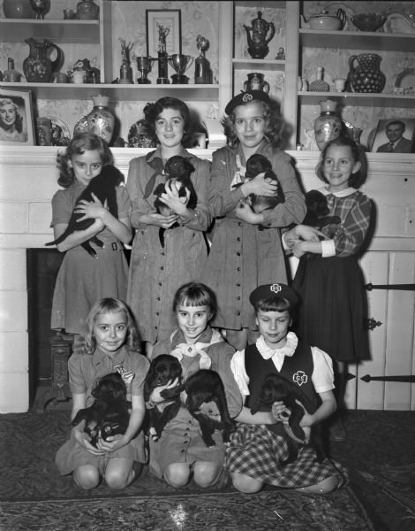 Seven girls are shown holding eight puppies. The girls are members of the Poll Parrot Club which raised the Labrador mix puppies. They intend to sell them and donate the money to the Empty Stocking club.