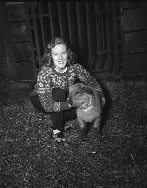 Anne Blakeley poses in a Scandinavian-style sweater with a Shropshire lamb in a University of Wisconsin-Madison barn. Anne Blakeley, from Philadelphia, is a debutante and a Junior Leager, and a member-resident of Delta Gamma sorority and the Daughters of the American Revolution. Anne is a UW-Madison Agriculture major and hopes to make a career in farming.