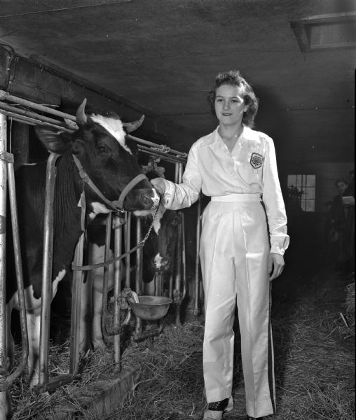 Mary Englehart, a member of the Silver Badgers 4-H Club, standing inside a barn with her Holstein heifer.