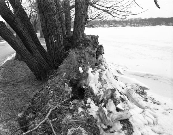 Ice damage to the shoreline of Lake Mendota at Warner Park.