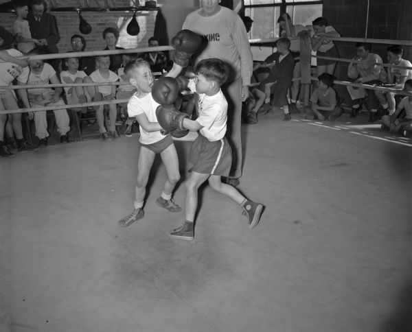 Bobby Johnston, left, and Johnny Parisi sparring during the Little Badger Boxing Classes at the University of Wisconsin fieldhouse.