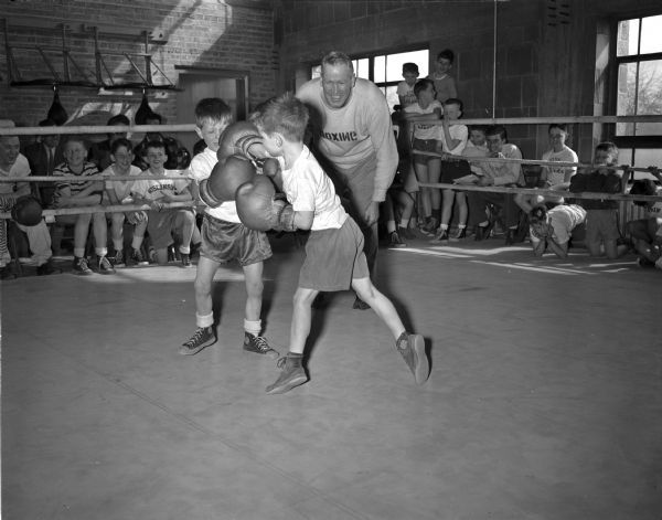 David Walsh lands a punch to the face of Bobby Theel during the Little Badger boxing classes at the University of Wisconsin fieldhouse. The referee is Vern Woodward.