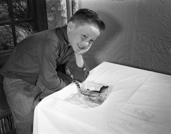 Seven-year-old Fred "Freddy" Nelson, son of Mr. and Mrs. R.W. (Colya) Nelson, 3918 Nakoma Road, with his pet alligator, "George". The baby alligator was sent to Freddy from the Mardi Gras in New Orleans, Louisiana by his older sister, Carol.