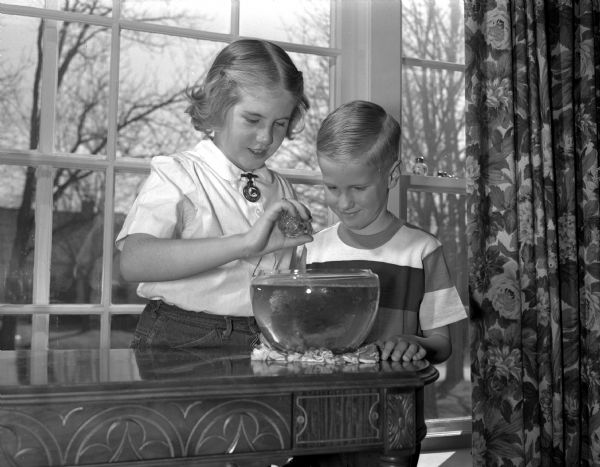 Two large bowls of guppies are the center of interest for ten-year-old Gill and seven-year-old Fritz in the living room of their parents, Mr. and Mrs. Fred. G. (Elizabeth) Wolff, 3006 Harvard Drive. The two children feed the tropical fish and spend hours watching them.