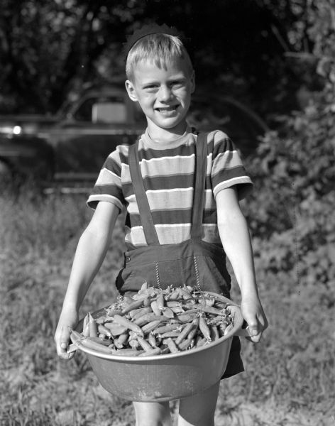 Madison Community Chest sponsored Farley tract community garden. Robert Thompson, age 6, is standing and holding a container full of harvested peas.