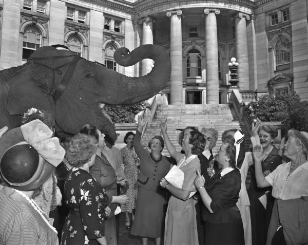 Advisory board members of the National Federation of Women's Republican Clubs being entertained by the antics of a circus elephant in the Capitol park during a pause in their tour of Madison governmental offices to see "grass root" politics in action. "Big Burma," the world's largest performing female pachyderm, is with the Mills Bros. Three Ring Circus which is being presented by the East Side Business Men's Association. Proceeds from the tickets sold went to raise money for civic improvement.