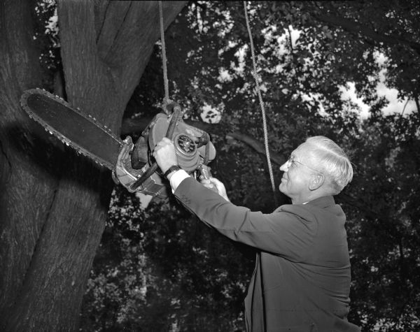 Governor Oscar Rennebohm uses a chain saw to make a cut on one of the trees in front of the Wisconsin General hospital. The trees must be removed to make room for a new addition to the hospital.