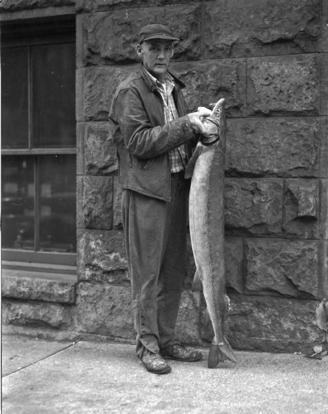 Sports fisherman Leroy M. Kreisler, Monona, holding the thirty-eight pound sturgeon he caught in the Wisconsin River near Okee. The fish measured thirty-five inches in length and was taken with a ordinary steel casting rod and hook baited with several minnows.