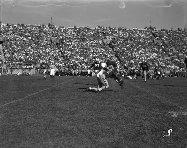 University of Wisconsin vs. Marquette football game. Larry Coles, Wisconsin No. 46; Vic Wojoik, Marquette No. 40 and Charlie Halverson, Wisconsin No. 81.