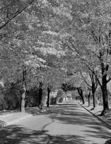 Fall scene looking east in the 2600 block of Regent Street along the Catholic cemetery.