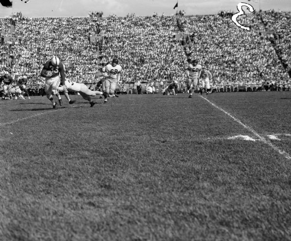 Action shot during the first quarter of the Wisconsin vs. California football game at Camp Randall Stadium, featuring Lisle Blackbourn, Wisconsin #33; Paul Galdwin, California; and Ed Bartlett, California, #84.