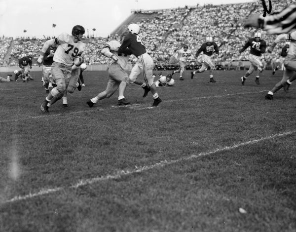 Action shot during the second quarter of the Wisconsin vs. California football game at Camp Randall Stadium, featuring Charlie Sarver of California with the football; Jim Turner, California, #79; Dan Begovich, California, #87; and Jim Embach, Wisconsin #41.