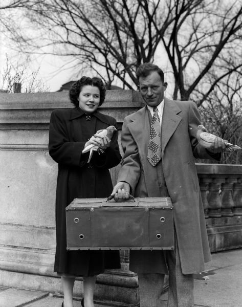 Delores Wilkinson, member of the Madison Come-Back Club, and Sylvan Lipski, Milwaukee All-City Flying Club member are shown just before they released five pigeons from the steps of the Capitol.
The pigeons, symbolic of the dove on the Wisconsin Anti-Tuberculosis Christmas Seal and also subject to the ravages of tuberculosis, signaled the kick-off of the seal sale. The pigeons, with a capsule of seals attached to a leg, winged their way to Fond du Lac, Racine, Cudahy, South Milwaukee or Sheboygan.