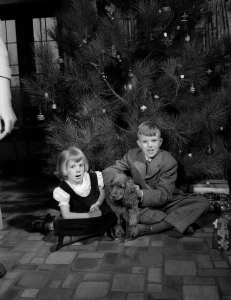 Two children from the Dana - Ellis family sit at the base of their Christmas tree with a Cocker Spaniel dog.