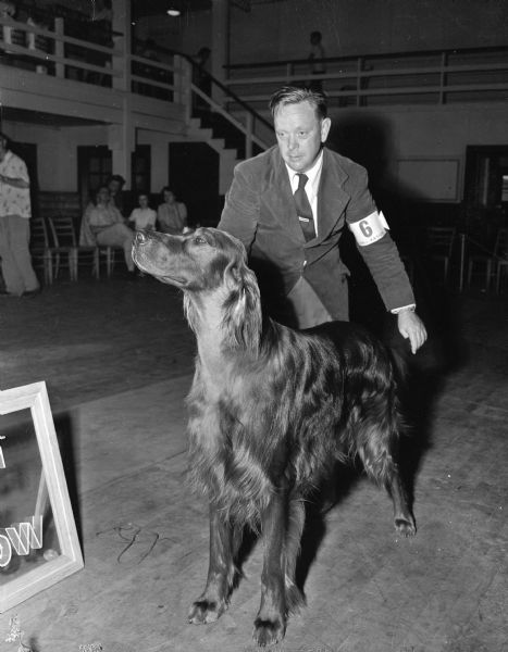 Winner of the "Best in Show" award at the fifth annual Badger Kennel club dog show was an Irish setter, Tyrone Farm Clancy, pictured with his owner Jack A. Spear of Tipton, Iowa.