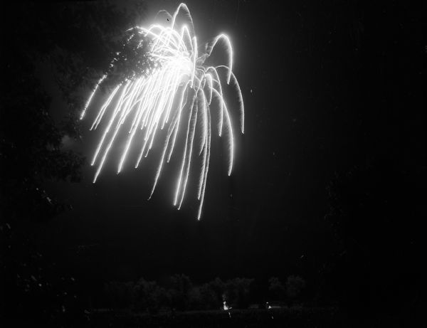 One of a series of firework photographs taken at Vilas Park.