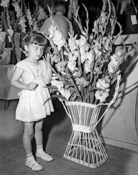 Tiny Jean Lucey of Mazomanie standing next to a basket of gladiolus in the lobby of the First National Bank during the annual show of the Madison Gladiolus Society.