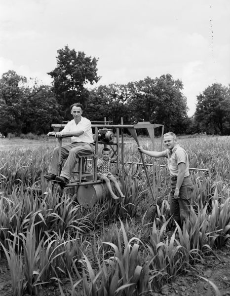 Professor James H. Torrie, 37-D, University Houses, is pictured spraying his gladioli garden in preparation for the Central International Gladiolus Society show with the help of his two "assistants," his six-year-old son Douglas, seated behind him on the sprayer, and Edward Arnold, 2441 Norwood Place, a senior at Edgewood High School. Professor Torrie rents part of the gardens at the Edgewood campus on Monroe Street with two other gladioli enthusiasts, John J. Flad and Eltar Nielsen.
