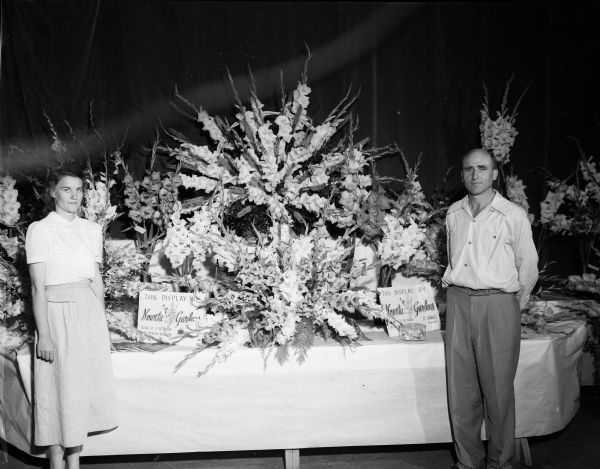 A large gladiola flower arrangement by Noweta Gardens standing on a table at the Central International Gladiolus Show at the University of Wisconsin-Madison Field House. Standing next to the arrangement are Mr. and Mrs. Etta Freye, Belvue, Iowa.