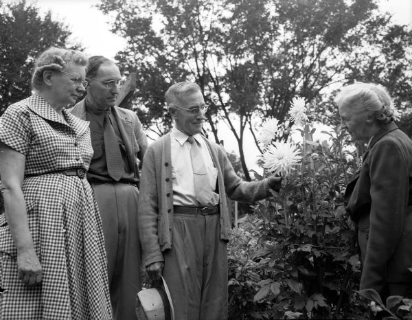 Four members of the Badger State Dahlia Society are shown, left to right: Mrs. Earl B. (Claudia) Frusher, Max E. Freudenberg, Earl Frusher and Mrs. Freudenberg. The photo was taken in a garden of dahlias at the Frushers' residence, 906 Midland Avenue.