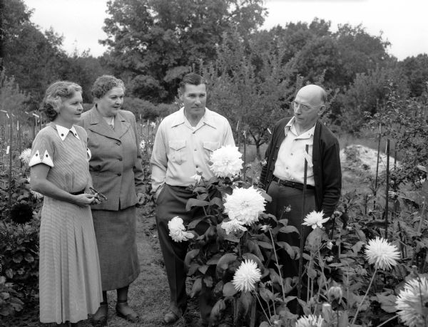 Four members of the Badger State Dahlia Society are shown left to right: Mrs. Loder, Mrs. Ira Fuller, Mr. Everett Loder and Mr. Ira Fuller. They are in the garden at the Loder residence, Route 3.