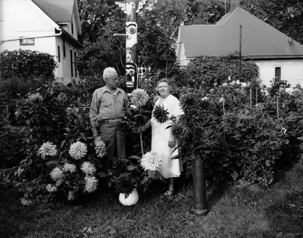 Edwin and Genevieve Larsen standing in their dahlia garden at 1245 East Dayton Street. Ed is holding a Miss Madison variety that he developed himself.