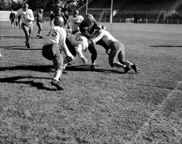 Action shot taken during a University of Wisconsin inter-squad football game, showing two defensive members stopping fullback, Rob Radcliffe.
