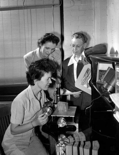 Three women employees of Forest Products Laboratory and members of the Madison Business and Professional Women's Club, pose around a microscope. The club is celebrating National Business Women's Week. From left, they are: Diana N. Smith, a forester; Winifred I. Statz, office staff; and Dr. Eloise Gerry, a foreign woods specialist.