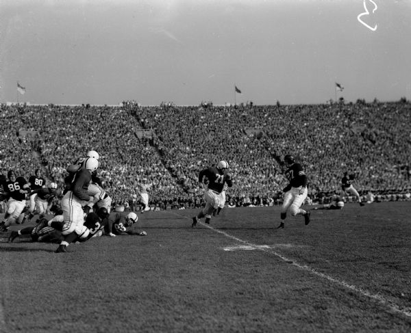 Wisconsin fullback Bob Radcliffe fumbles the ball during the football game with Northwestern at Camp Randall Stadium. In front is Wisconsin halfback Roy Burks and on the ground is Northwestern's Wally Proksa (#32).