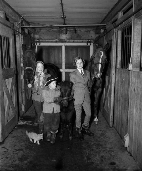 Three children in riding clothes posing with their animals inside a horse stable. The children are, left to right, Anne, age 15, Chuckie, age 6, and Susie Forsberg, age 13. The horses are "Red Light" and "Black Jack." The pony is "Belle." A kitten is seen at lower left.