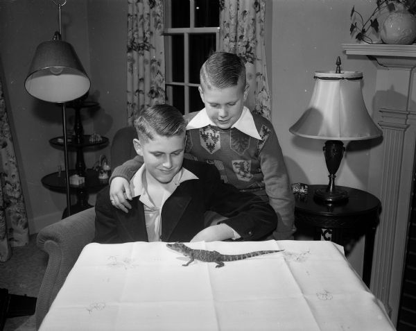 Brothers Jim, age 13, and John Gannon, age 10, gazing upon their small pet alligator named "Friday" that they received a year and a half previous from New Orleans, Louisiana on Good Friday.