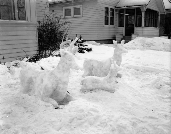 Winter scene with snow sculptures of three deer created by Steven Field, 16, stands in the front yard of his parents' home at 4233 Beverly Road.