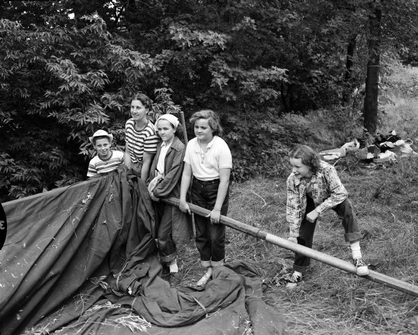 A scene at Camp Greenwood on Picnic Point for intermediate Girl Scouts. Attempting to erect a tent, are left to right: Constance Selsrud; Elaine Weitzman, unit leader; Karen Huth; and Judy Lemon.