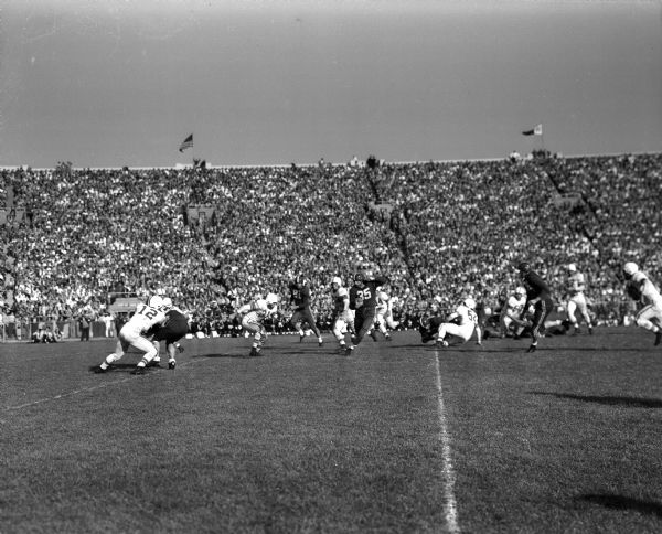 Full back Alan Ameche "The Horse" (#35) gains 11 yards and a first down against Ohio State early in the 3rd quarter. End Hal Faverty (#81) is trying to get in a block while Ohio State's Vic Janowicz (#31) and Gregory Jacoby (#73) are trying to tackle the big Badger freshman.