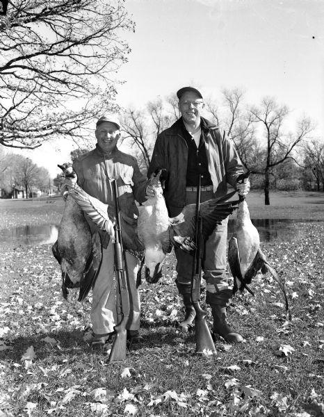 Albert Becker and Carl Van Skike, hunting partners for 32 years, posing in hunting clothes with shot guns while holding three geese they bagged while hunting six miles north of Lodi. The two men reported they saw several thousand geese that day.
