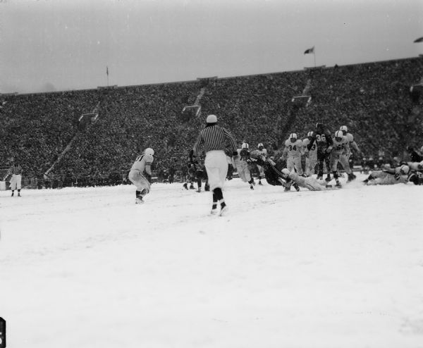 Action shot during the Wisconsin-Indiana Football game. University of Wisconsin football captain Jim Hammond leans ahead for extra yardage as he is tackled.