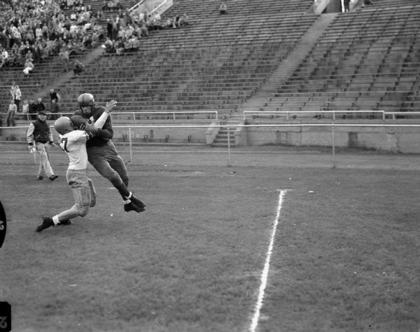 Norbert Esser, end on the University of Wisconsin football team, catching a pass which led to a touchdown in the annual university spring football game of the Cardinals vs. the Whites.  Also shown is Tommy Wilcock unsuccessfully attempting to break up the play.